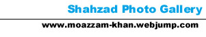 ShahGall.jpg (12803 bytes)